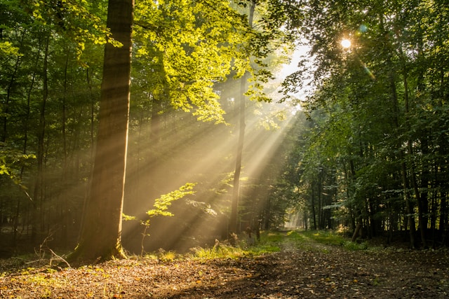 Morning Habits of Millionaires You Can Copy Today